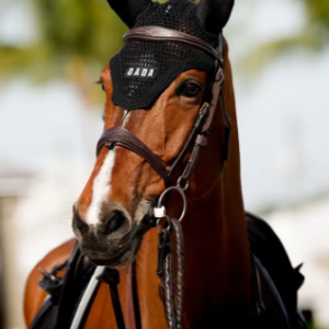 Polias - Ear bonnet for horse